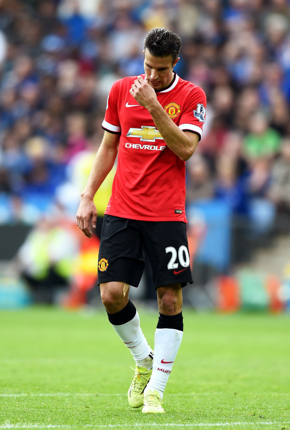 Here we go！罗马诺：狼队签下23岁挪威后卫沃尔费已达成协议